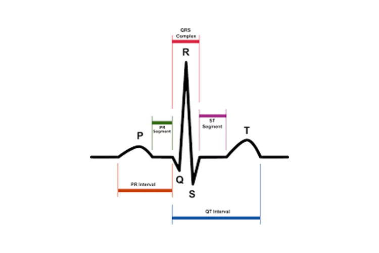 Health Technology Curriculum Topic: EKG Technician Program